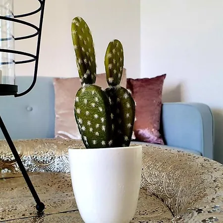 ✪ Beautiful In Center With Amazing View ✪ * Mannheim